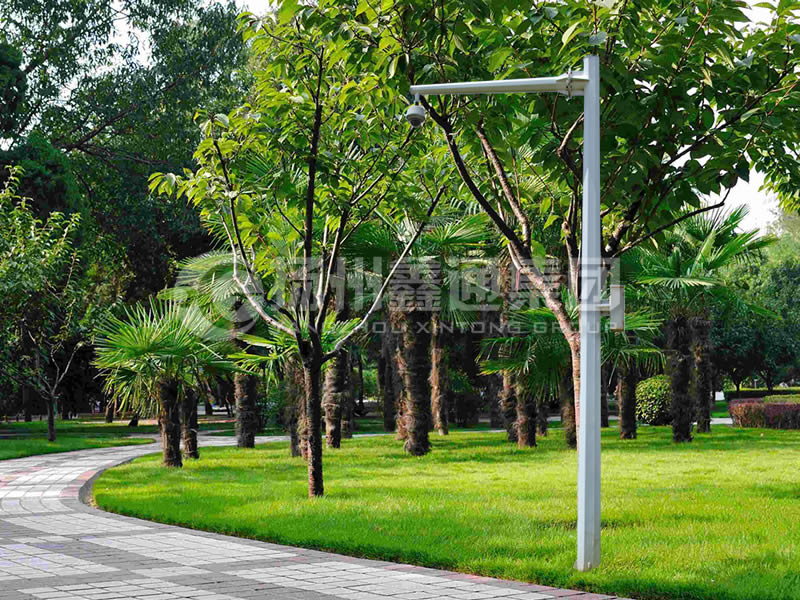 DJG-022，電子警察桿，八棱懸臂球機桿